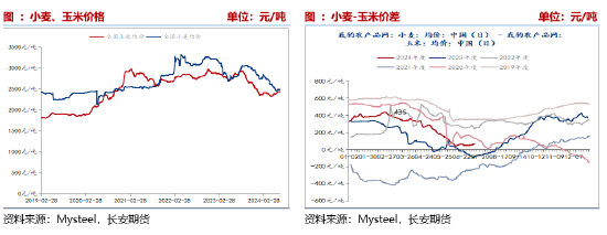 （2024年12月4日）今日玉米期货和美玉米最新价格查询