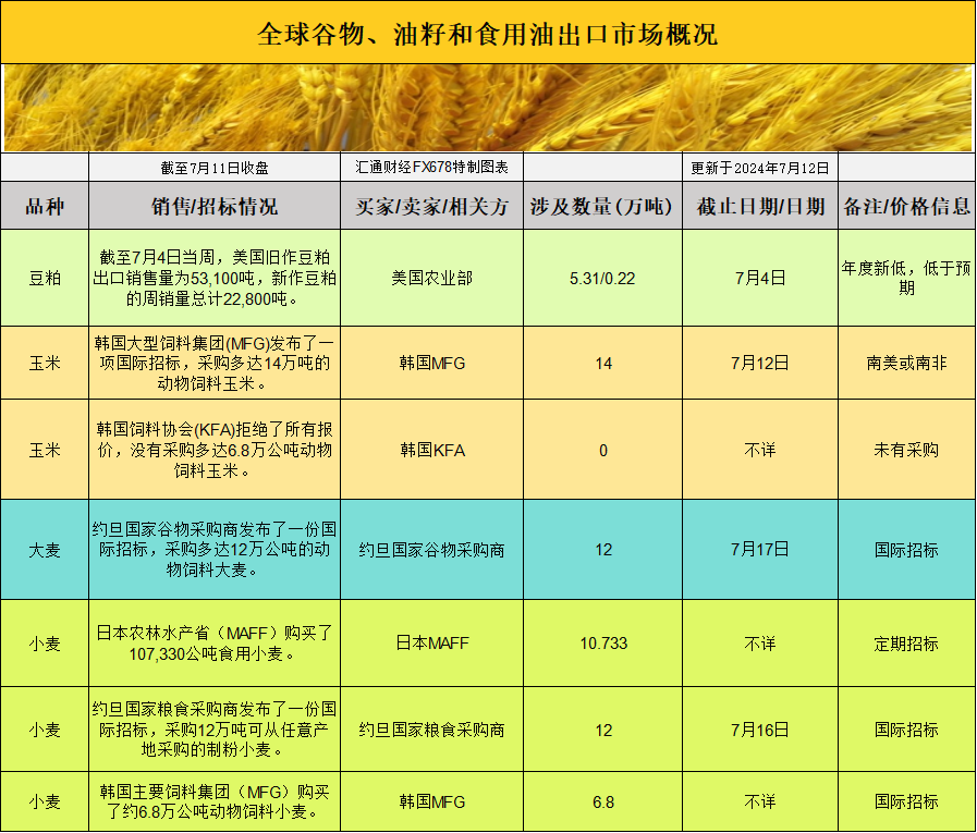 （2025年1月10日）今日玉米期货和美玉米最新价格查询