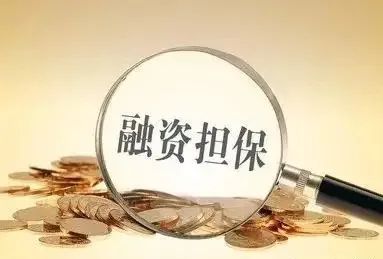 政府性融资担保机构不得为政府债券发行提供担保