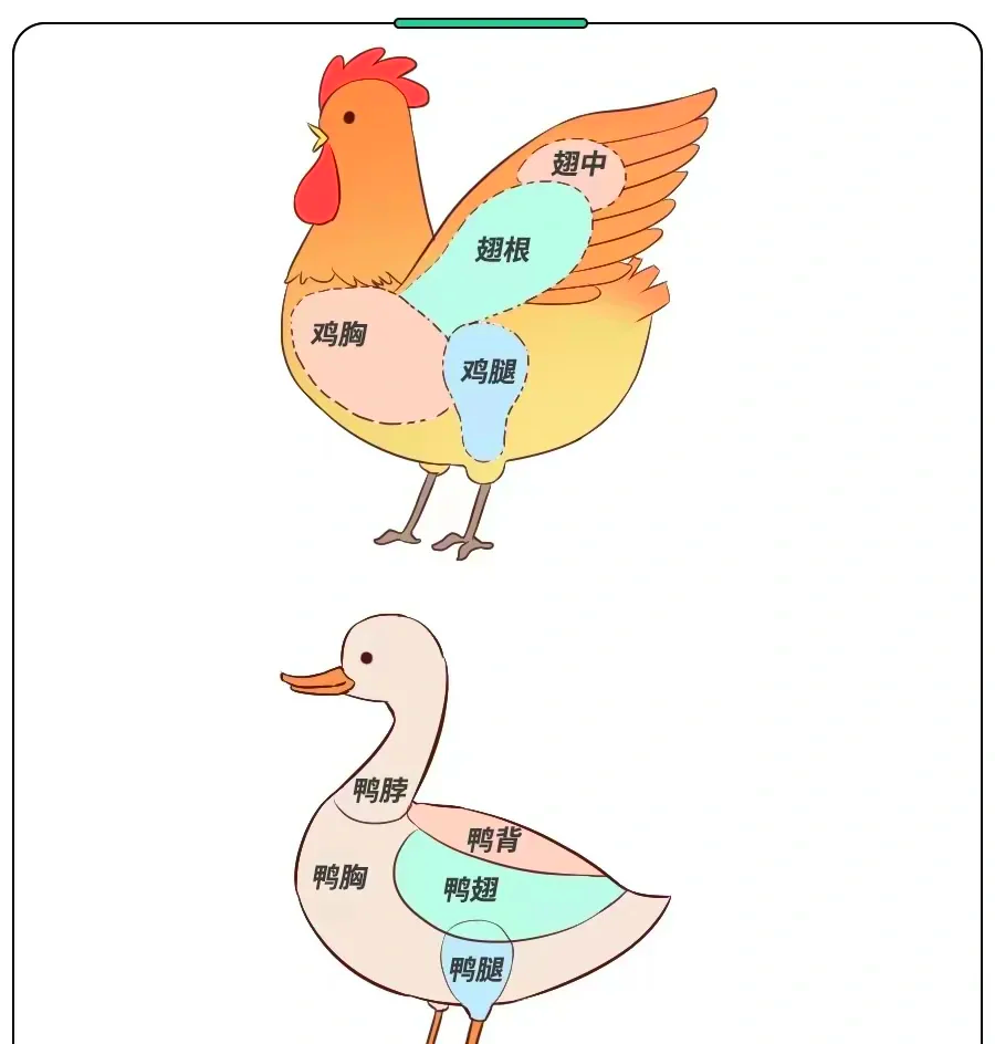 315曝光手机抽奖疯狂敛财,起底涉事变现猫网络科技公司