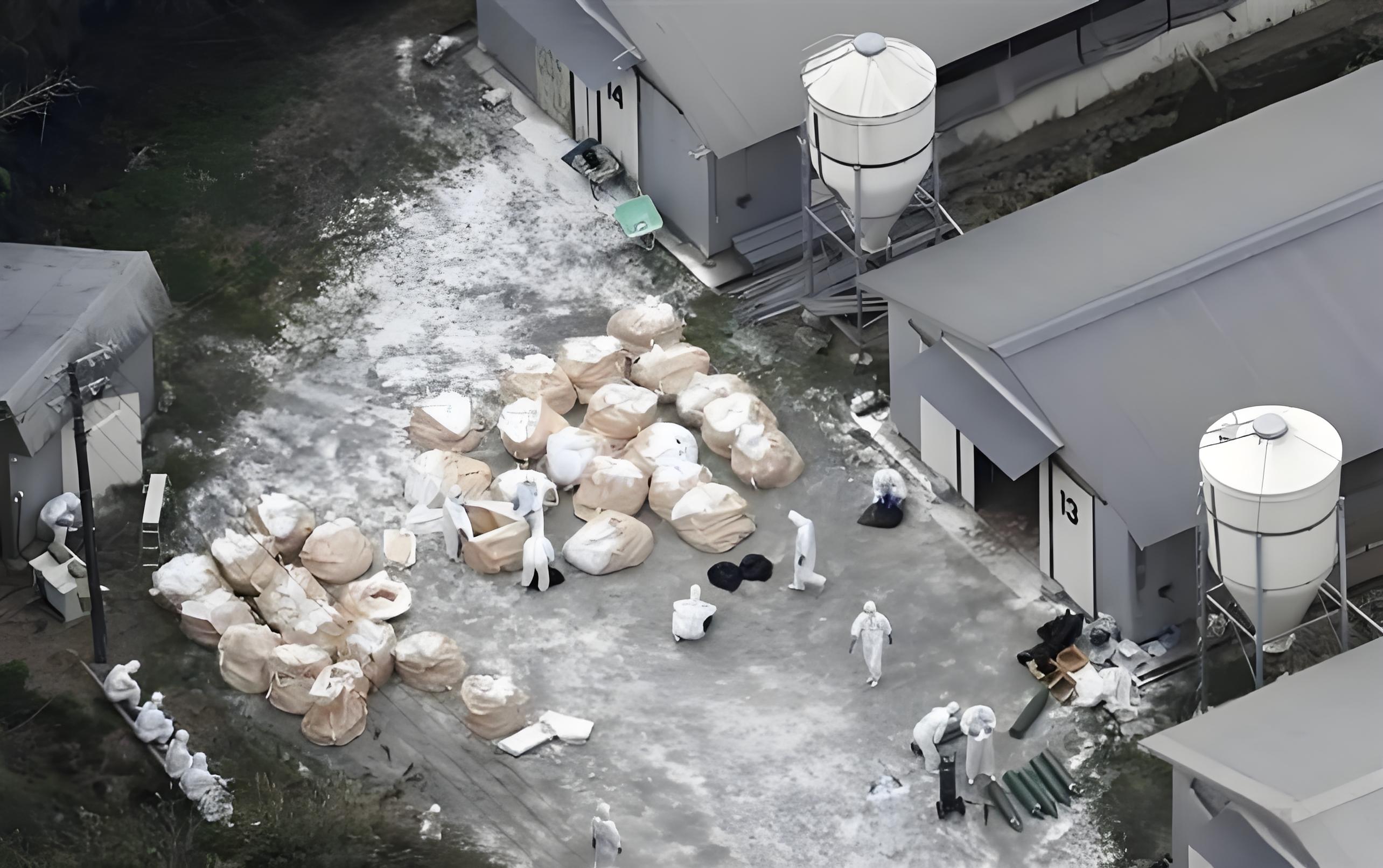 联合国粮农组织警告禽流感疫情呈空前蔓延态势，呼吁全球采取行动