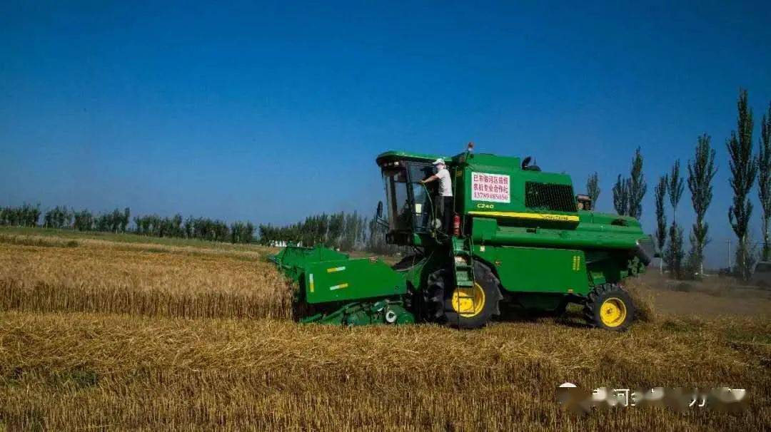 转载专访丨“中国的机械化技术正助力我们实现农业现代化”――访冈比亚农业部长登巴・萨巴利