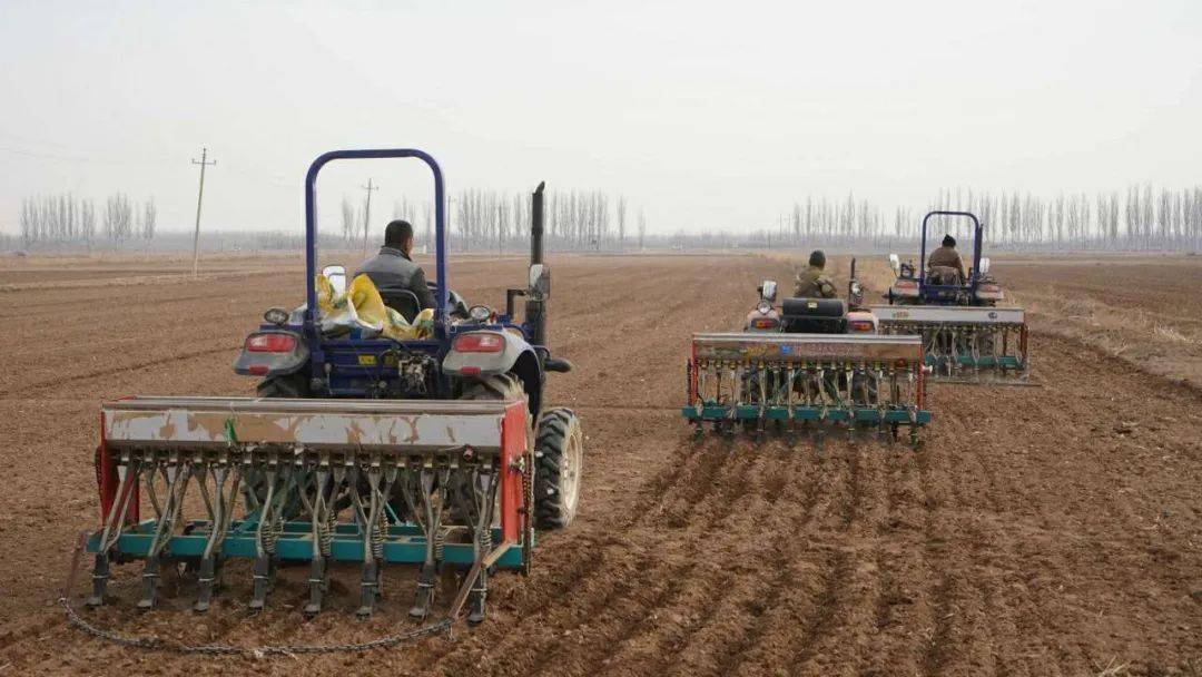 转载专访丨“中国的机械化技术正助力我们实现农业现代化”――访冈比亚农业部长登巴・萨巴利