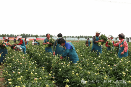 顺丰与粤港澳大湾区绿色农产品生产供应基地签署战略合作