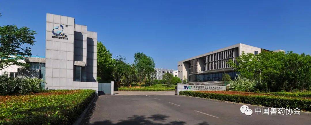 润都股份：子公司获得兽药产品批准文号批件