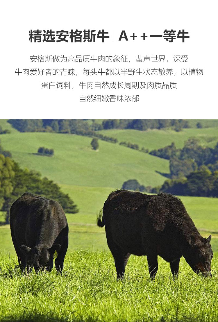 乌拉圭出口2025年前四个月增长4%，牛肉超越纸浆居首位