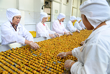 齐云山食品IPO：产能利用率不足却执意扩产，单一产品依赖如何破局？