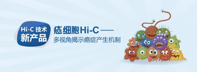科学与健康|基因组编辑新利器：PCE技术实现染色体“精准编辑”