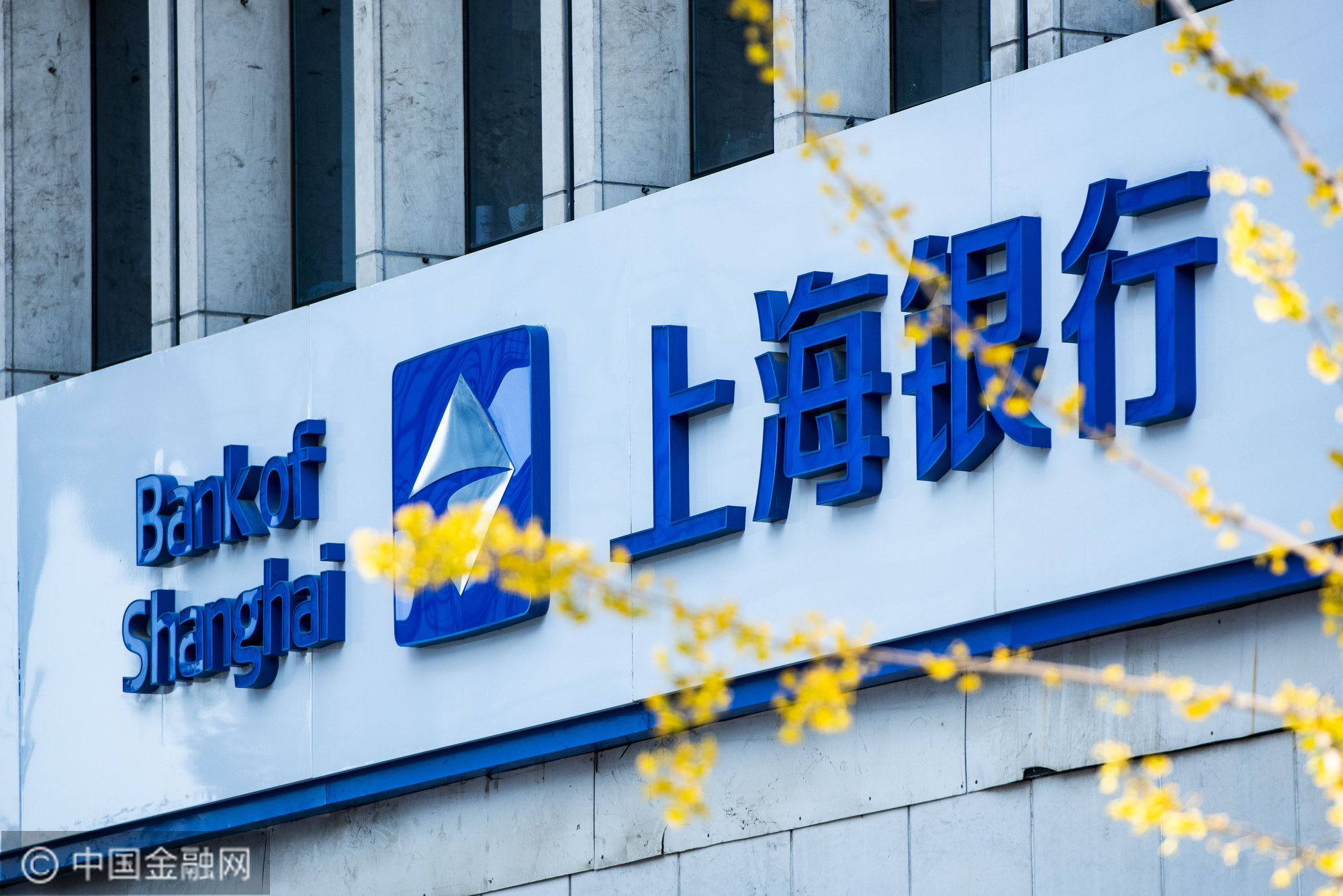 上银活水滴灌小微系列之1|与时间赛跑，3天解决新材料小企业资金需求――上海银行深入推进小微企业融资协调工作机制