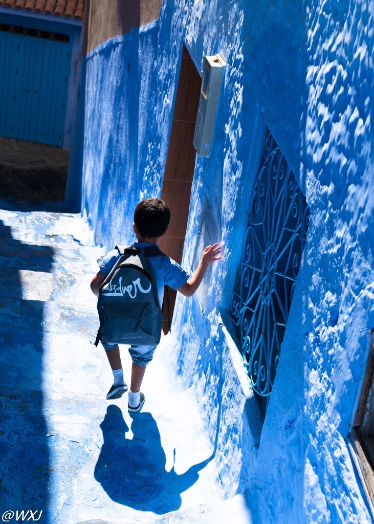 摩洛哥推动海藻养殖发展蓝色经济