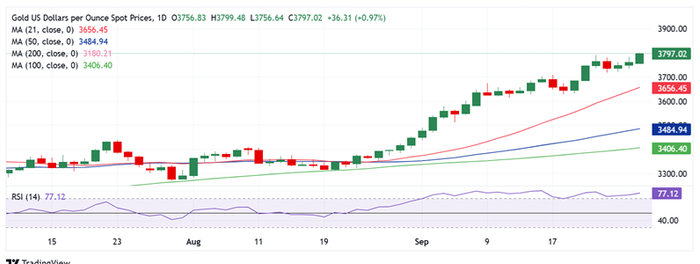黄金回调是机会！摩根士丹利预测：金价将在2026年年中升至4500美元