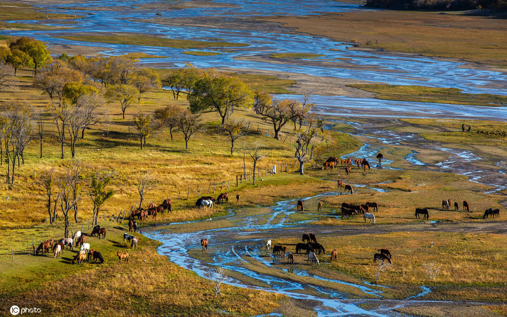 津巴布韦恢复多条铁路客运线路助力旅游与经济发展