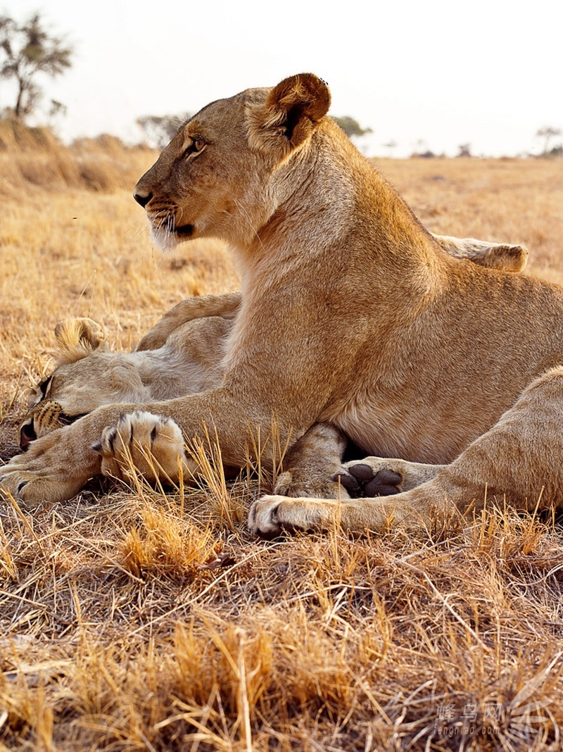 津巴布韦恢复多条铁路客运线路助力旅游与经济发展
