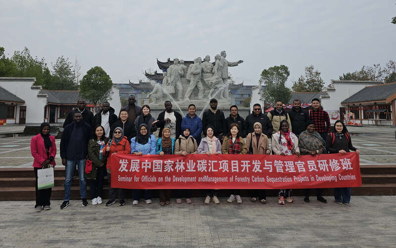 截止2025年9月，喀麦隆已铺设道路384.95公里，仅达年度目标的一半