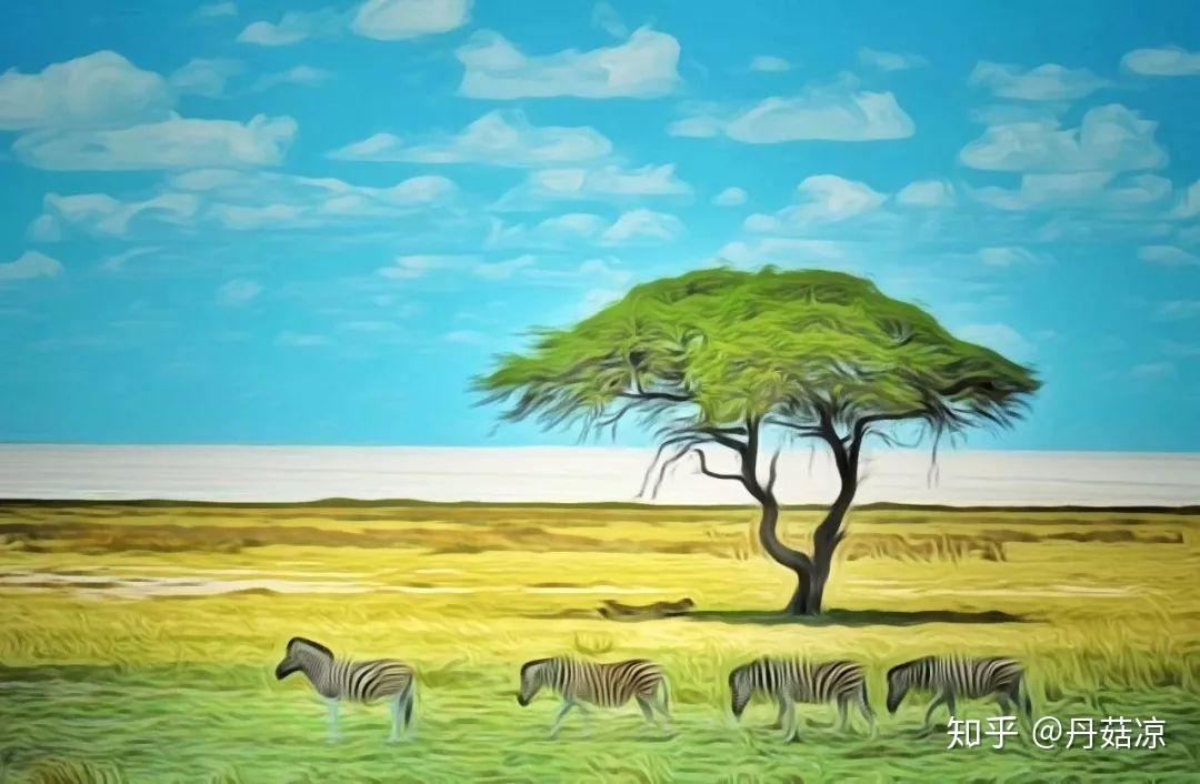 纳米比亚积极参与非洲大陆自由贸易区市场