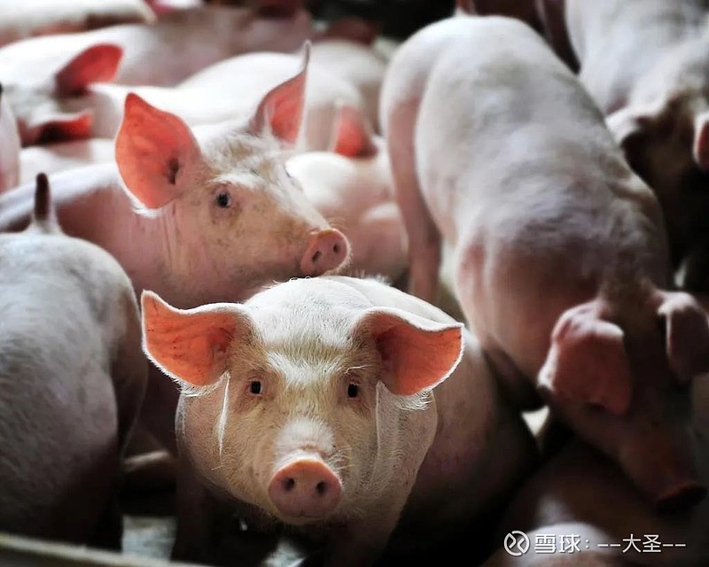 华图山鼎：股东张鹏拟减持公司不超0.19%股份