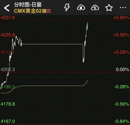 永顺泰：2026年度拟不超17亿元开展外汇衍生品交易业务