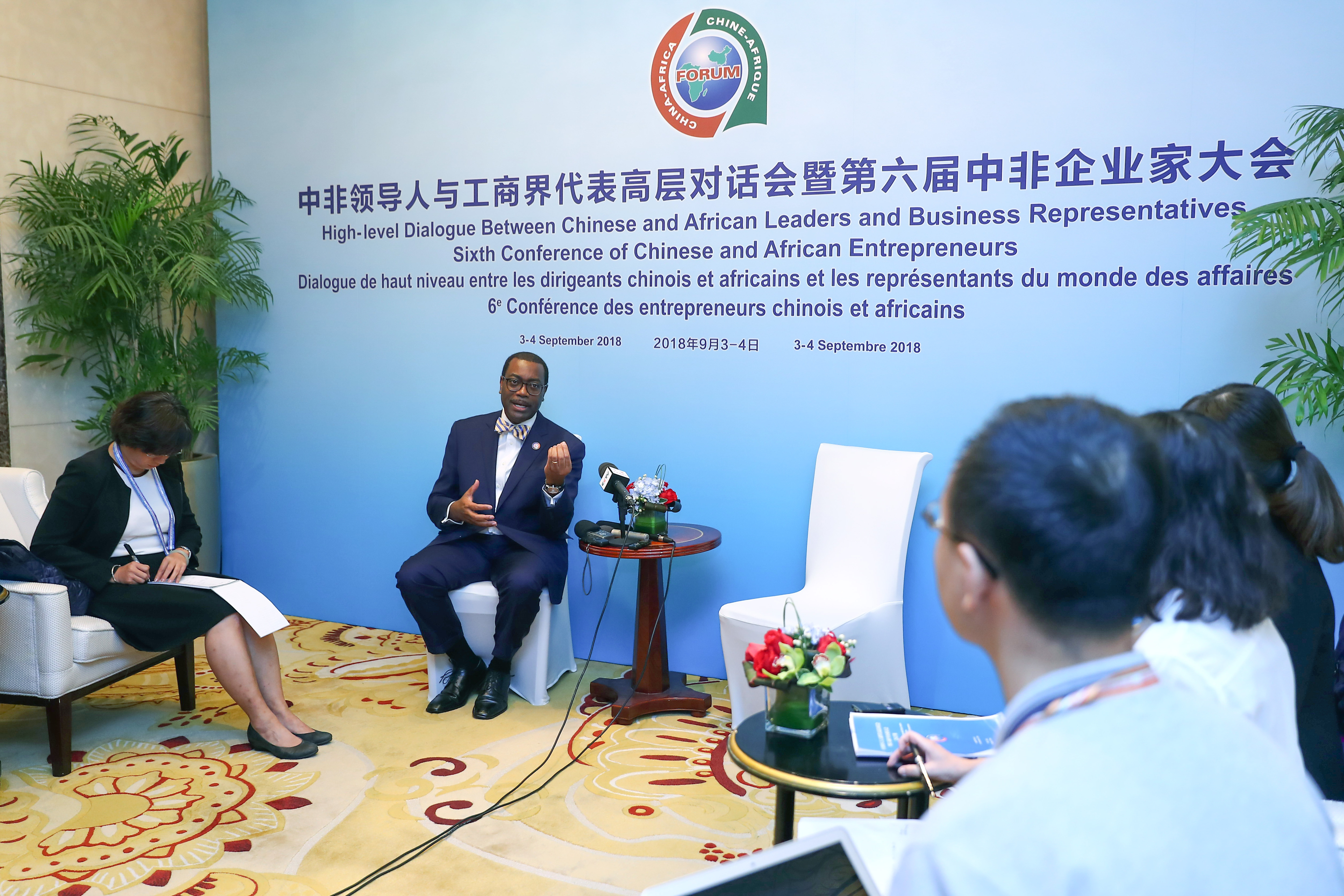 非洲开发银行创纪录筹集105亿美元资金