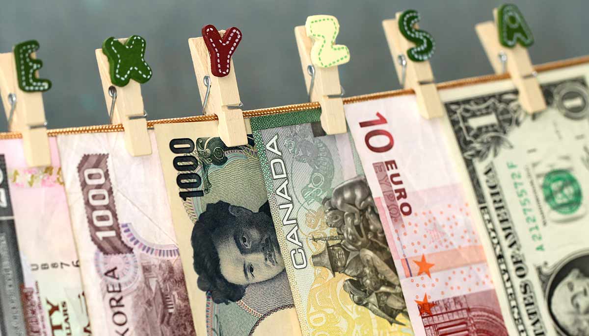 去年外汇储备增加1555亿美元 去年12月增115亿美元