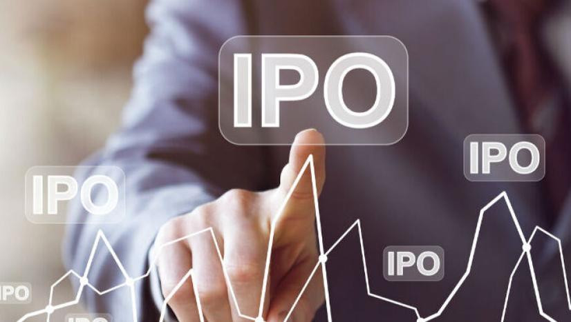 资金效率提升：IPO、并购、S交易全线开花，退出路径多元化