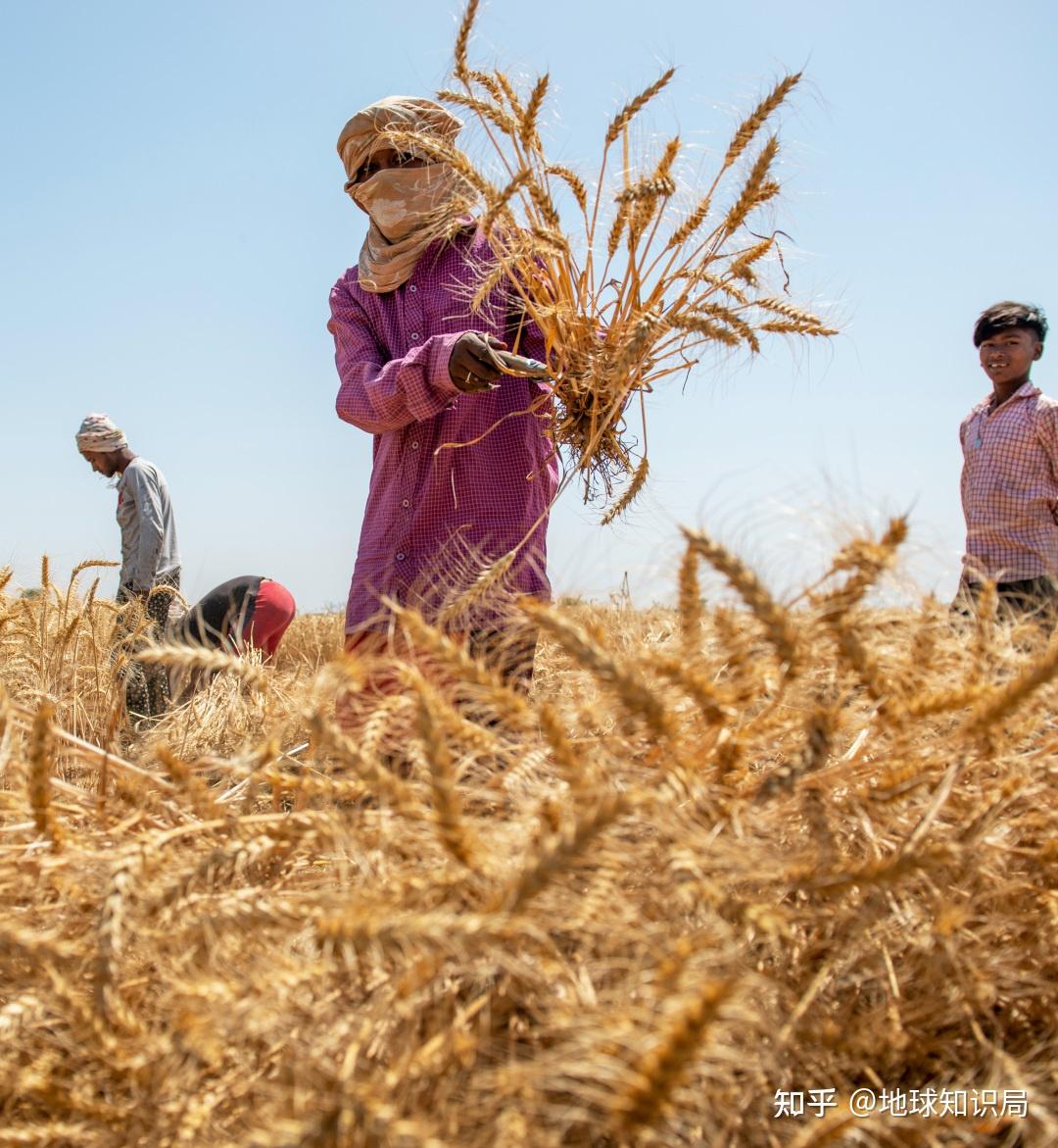 全球“最惨”！日债大溃败恐未完待续：十余年来最猛供应增长洪峰将至