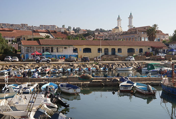 阿尔及利亚加大旅游业扶持力度 推动投资与多元化发展