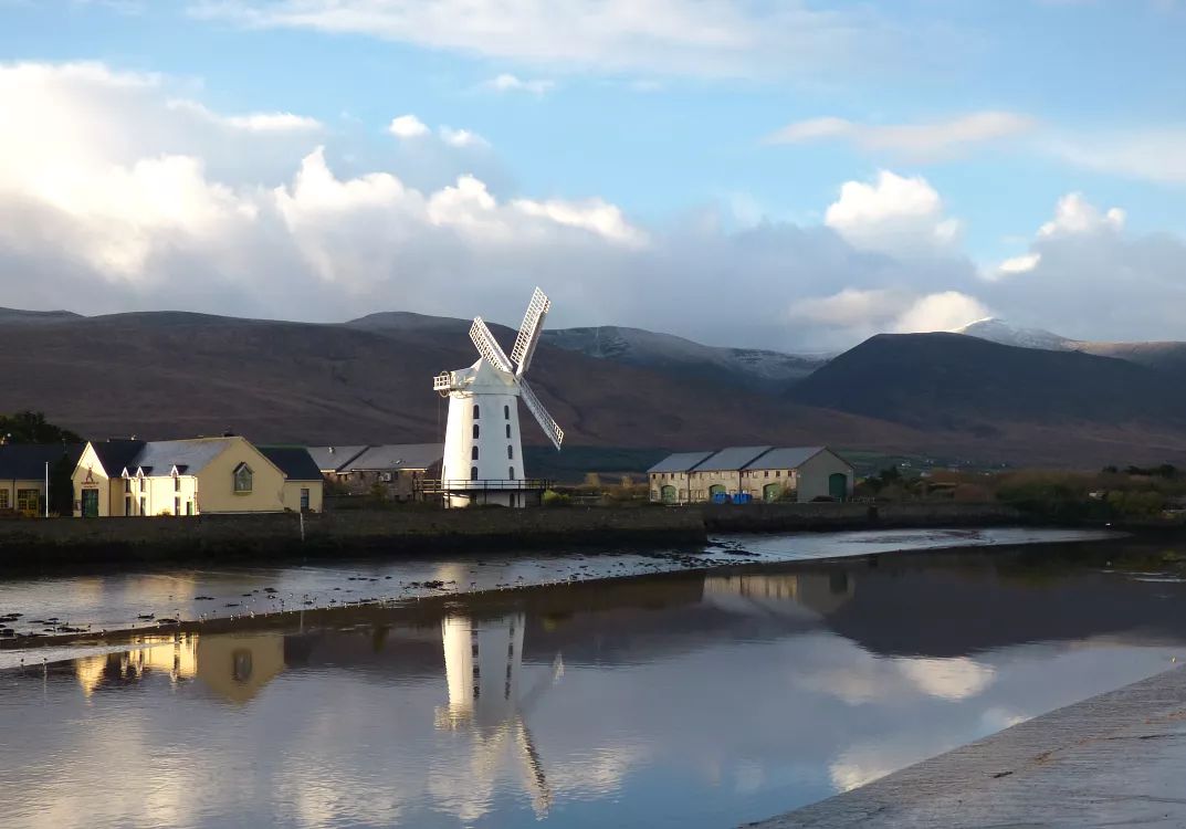 技能人才短缺阻碍了爱尔兰的住房建设目标
