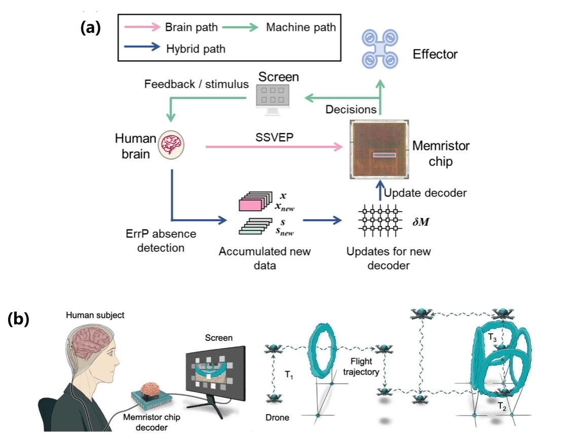 汉威科技：公司近年来对无创柔性脑机接口材料的研发及用于复杂脑信息协同监测等关键技术有所突破