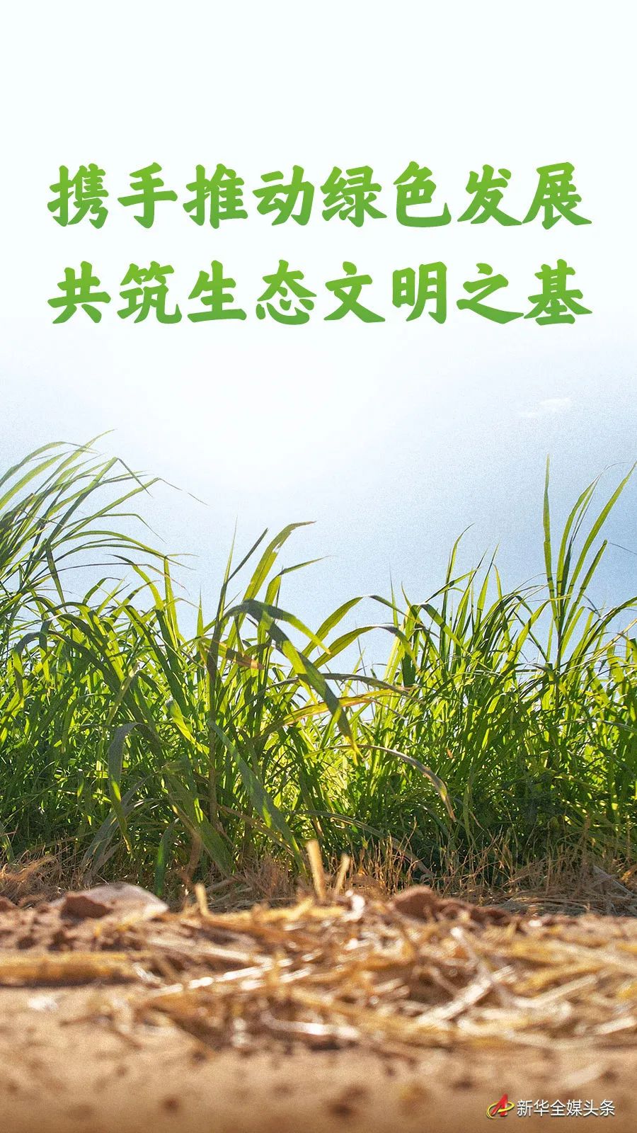 在开放合作中推动全球绿色发展