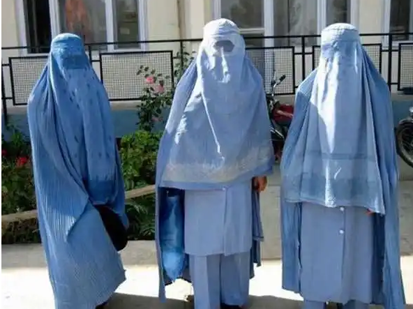 古巴国家税务总局颁布新法令