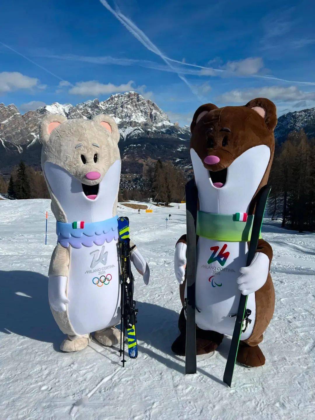 加美全面评估双边关系 确定2026年合作优先领域