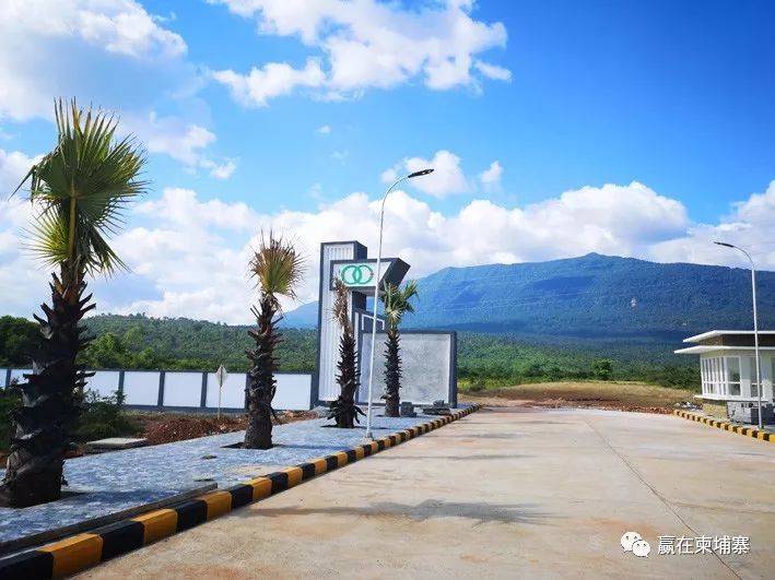 2025年柬埔寨出口超110吨贡布胡椒