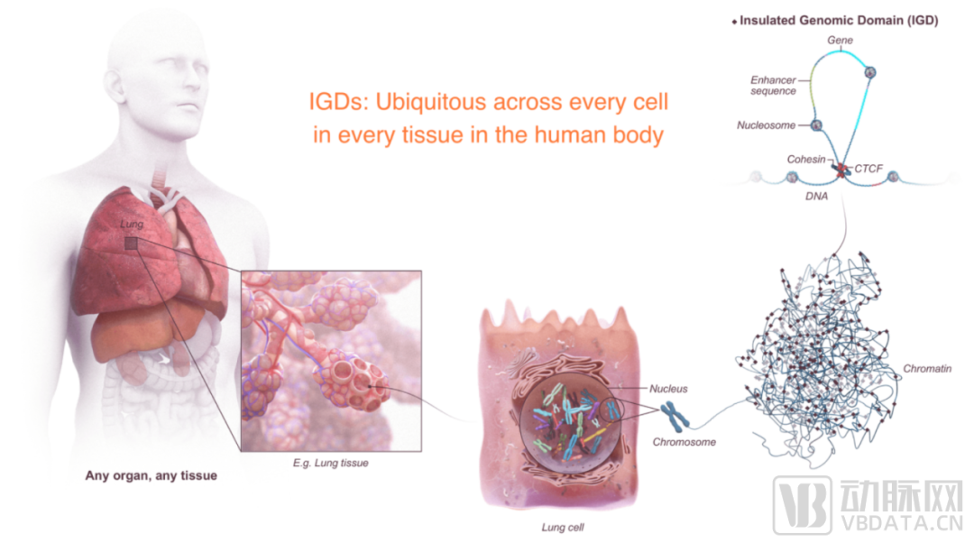 逐际动力完成2亿美元B轮融资