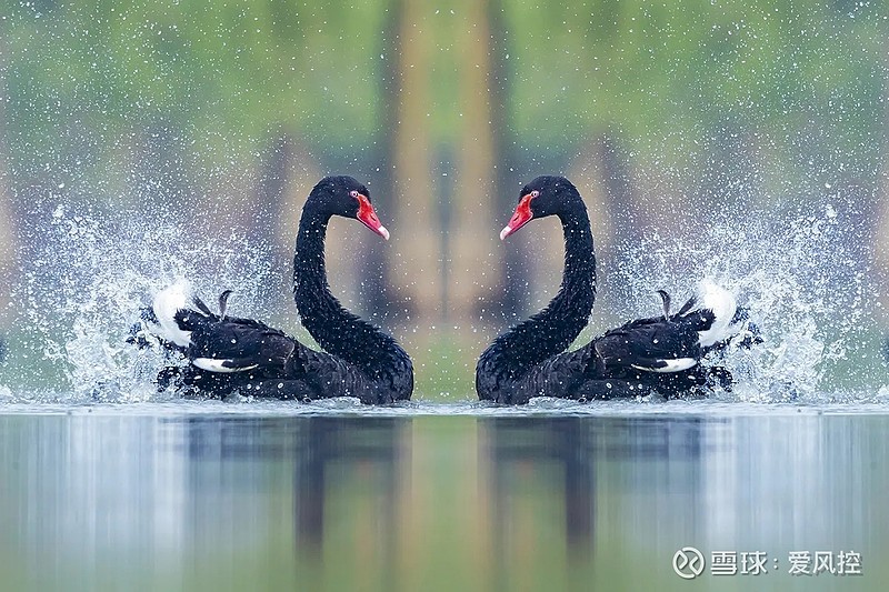 立方风控鸟·晚报（2月6日）