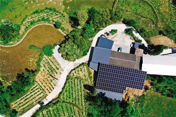 光伏上游供需双弱 一季度组件订单能见度有限