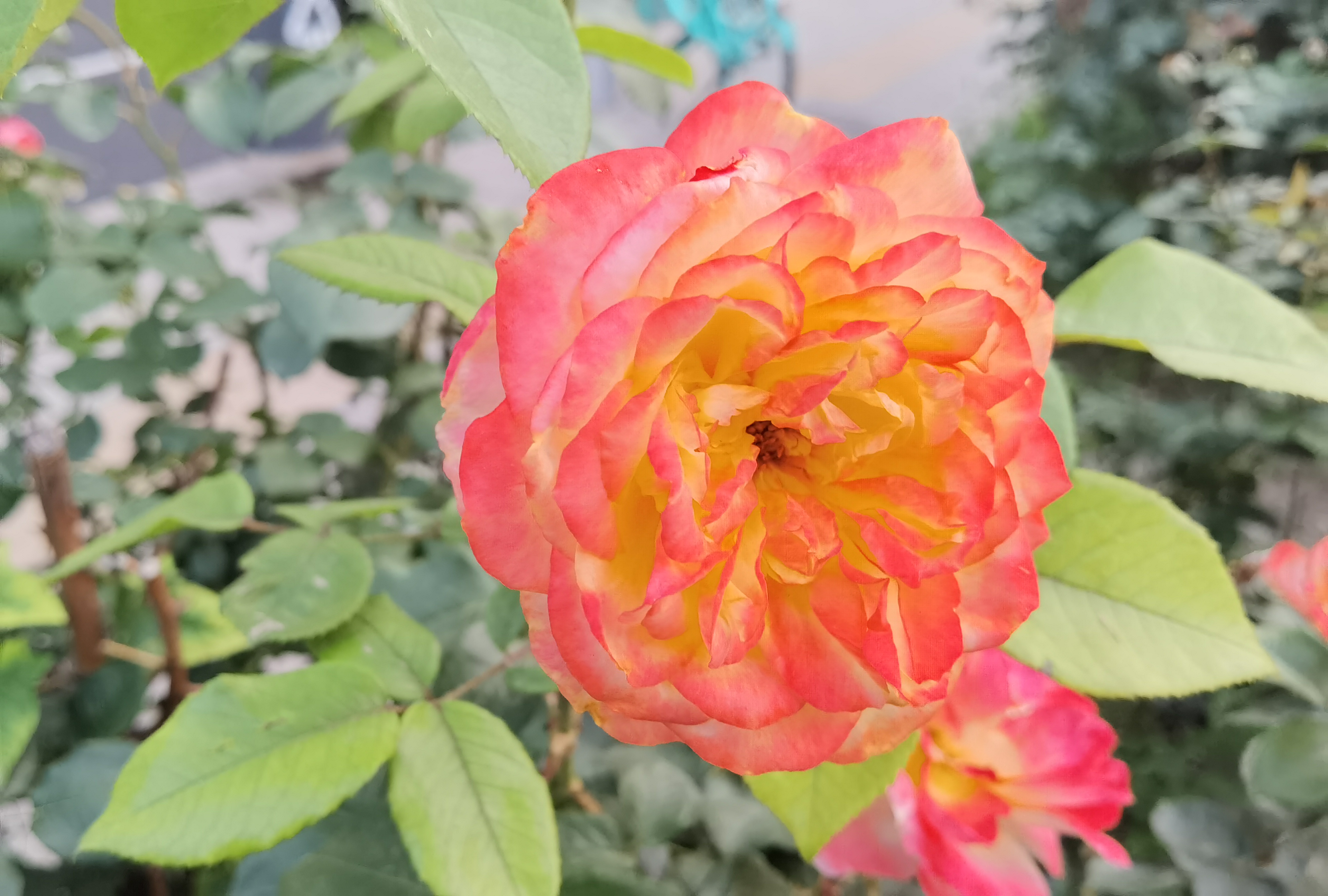 “躺赢”是投资家的最高境界