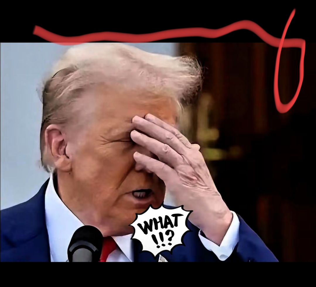 临时拨款到期 美国土安全部将于13日晚停摆