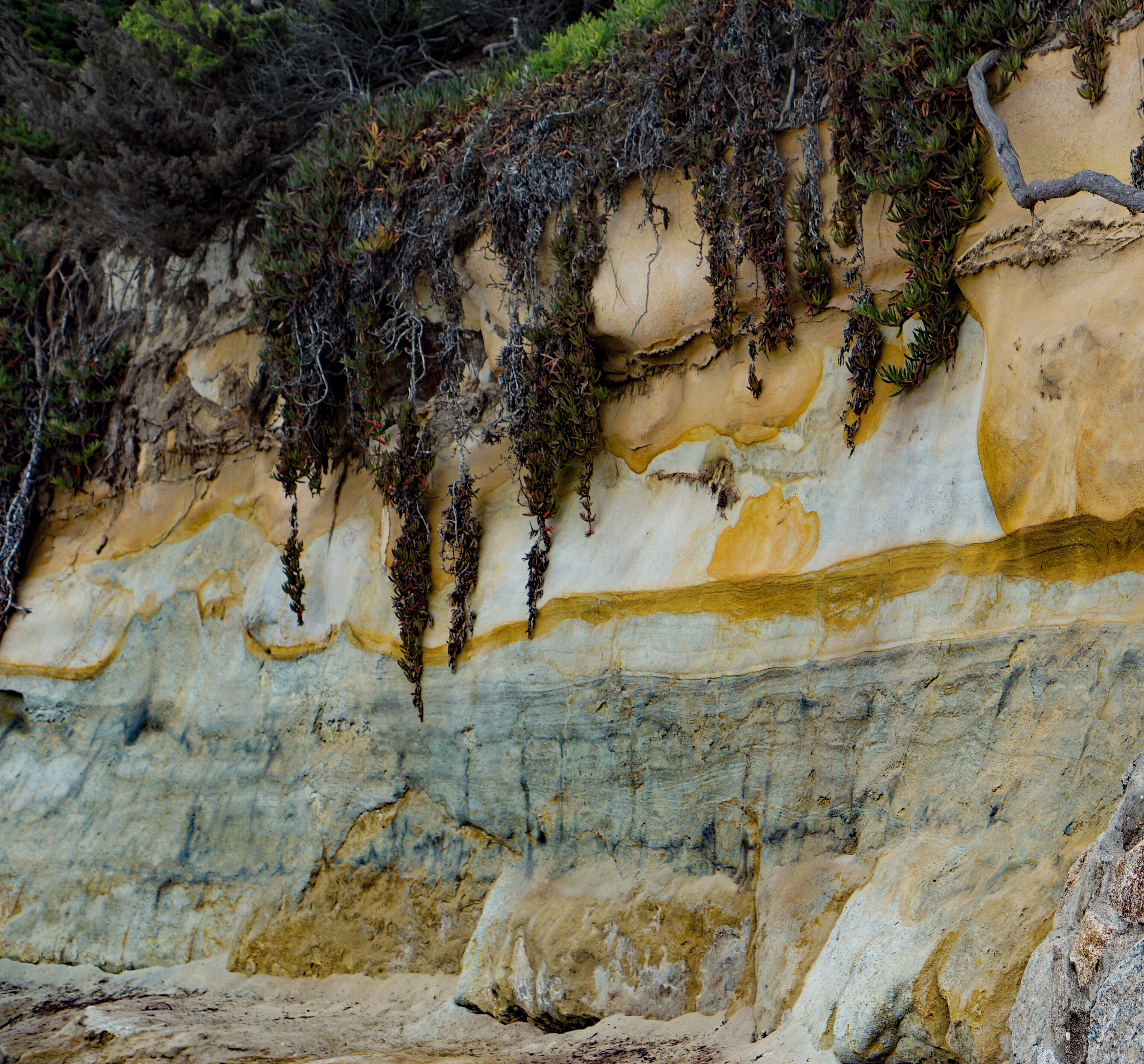 西藏阿里地区日土县发生3.6级地震