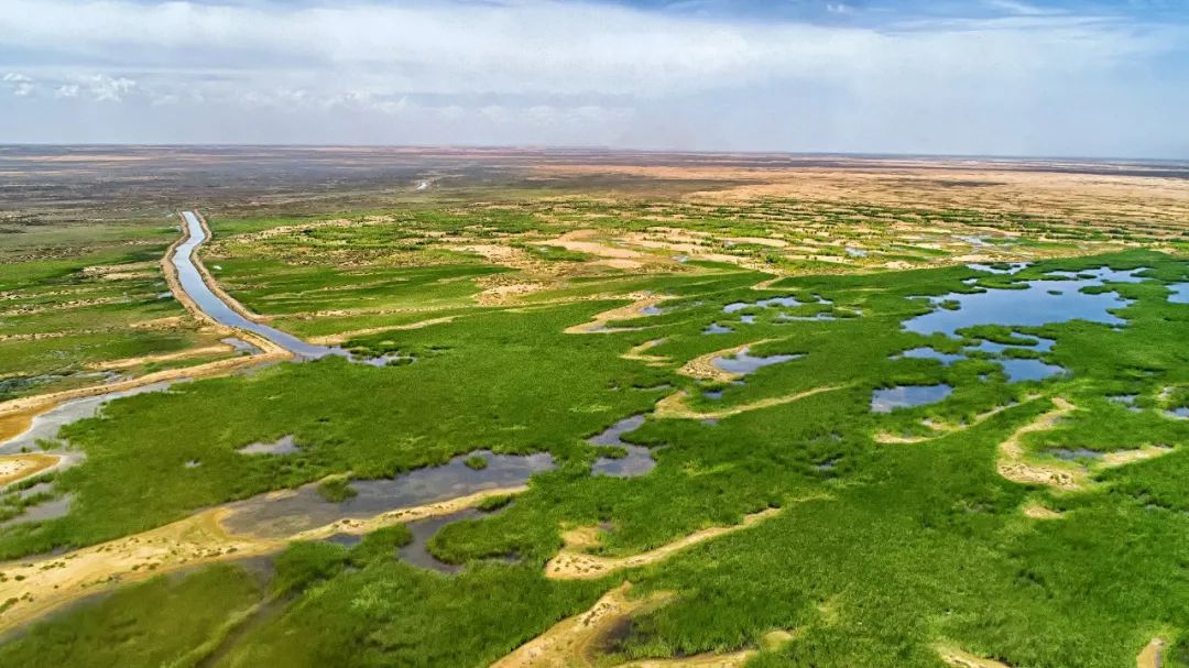 鄂尔多斯盘中创历史新高
