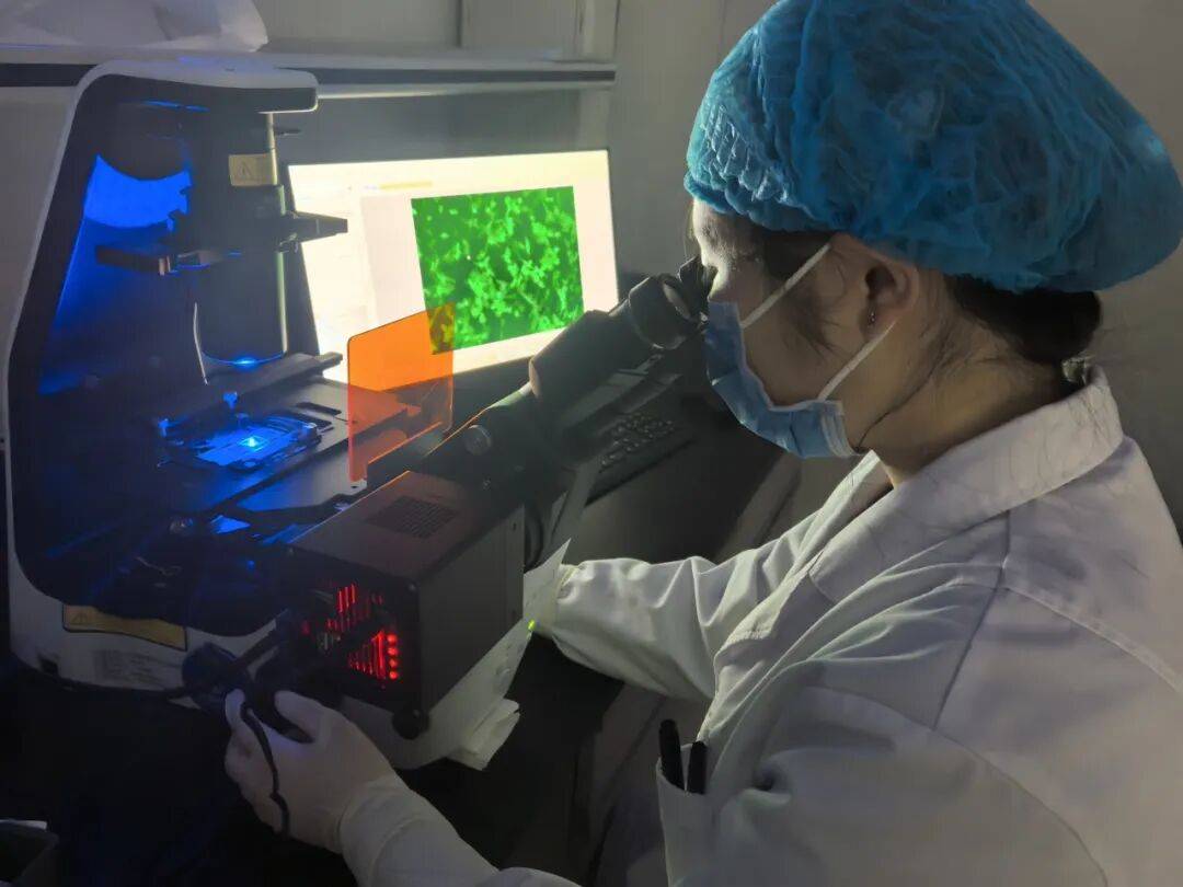 普门科技：促红细胞生产素（EPO）测定试剂盒获医疗器械注册证