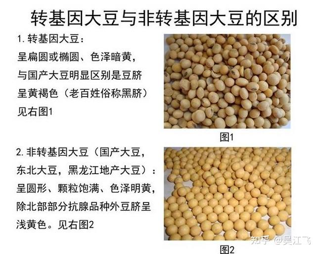 大豆概念涨2.03%,主力资金净流入6股