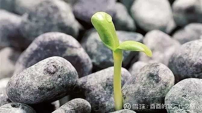 寻找低估值优质资产，谁是价值指数中的一把“好筛子”？