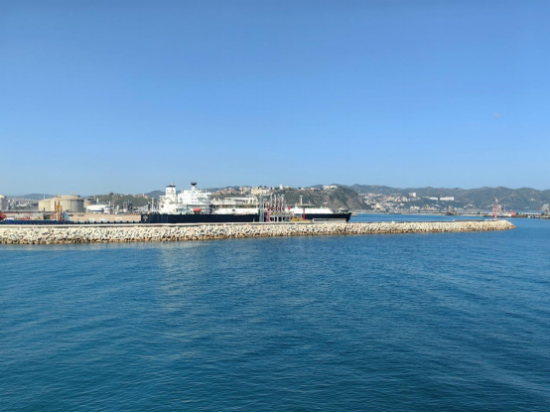 2026年1月阿尔及利亚跃居土耳其第二大LNG供应国