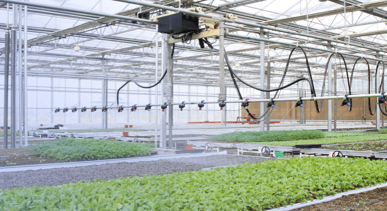 阿曼电信推出Otech云计算解决方案