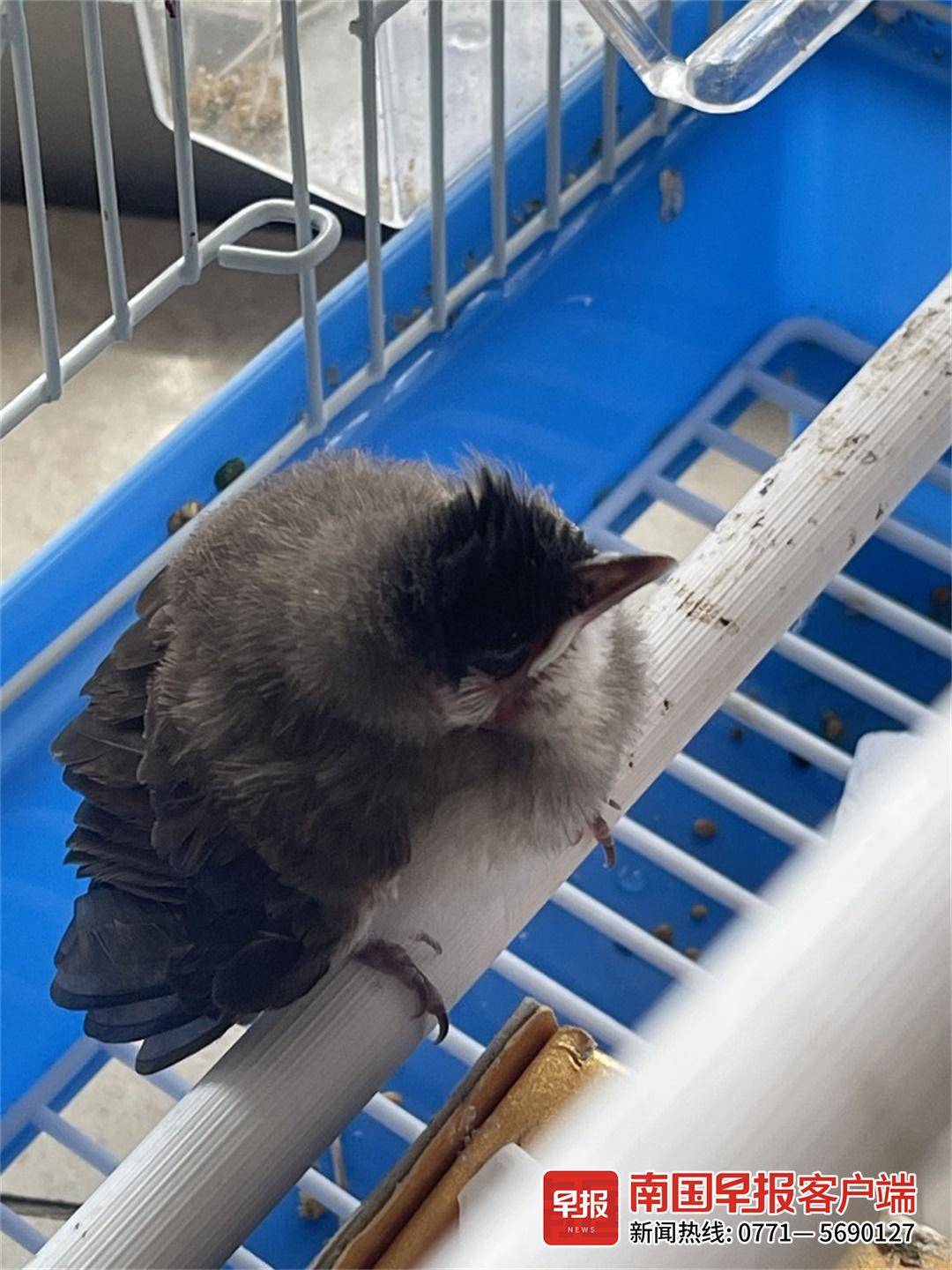 立方风控鸟·早报（3月21日）