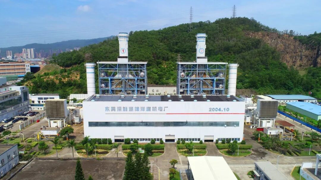 韶能股份录得6天5板