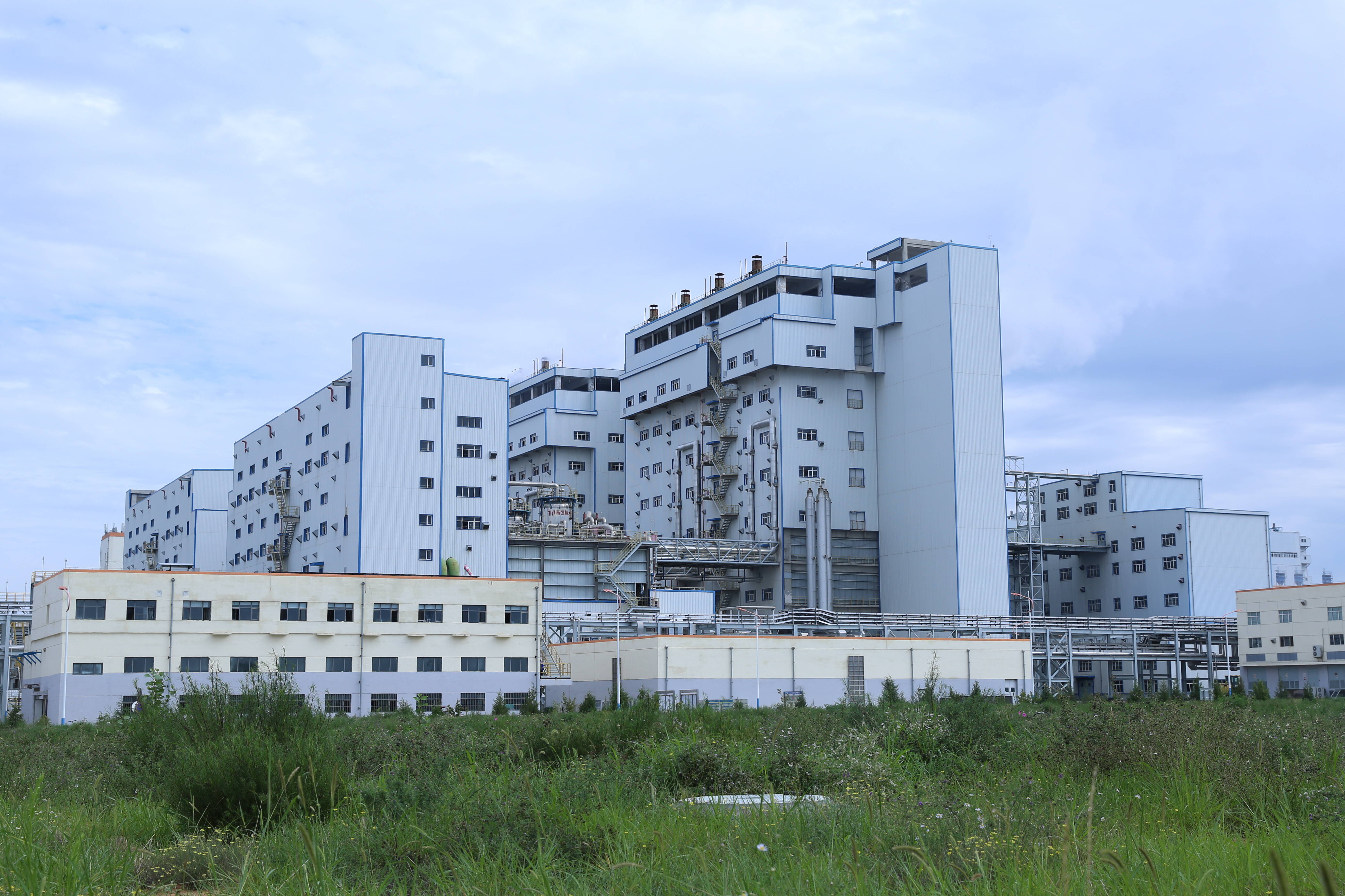 兖矿能源2025年净利润83.8亿元 商品煤产量1.82亿吨创历史新高