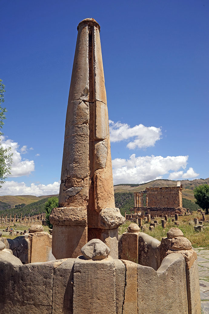 阿尔及利亚大麦产量位居非洲第三