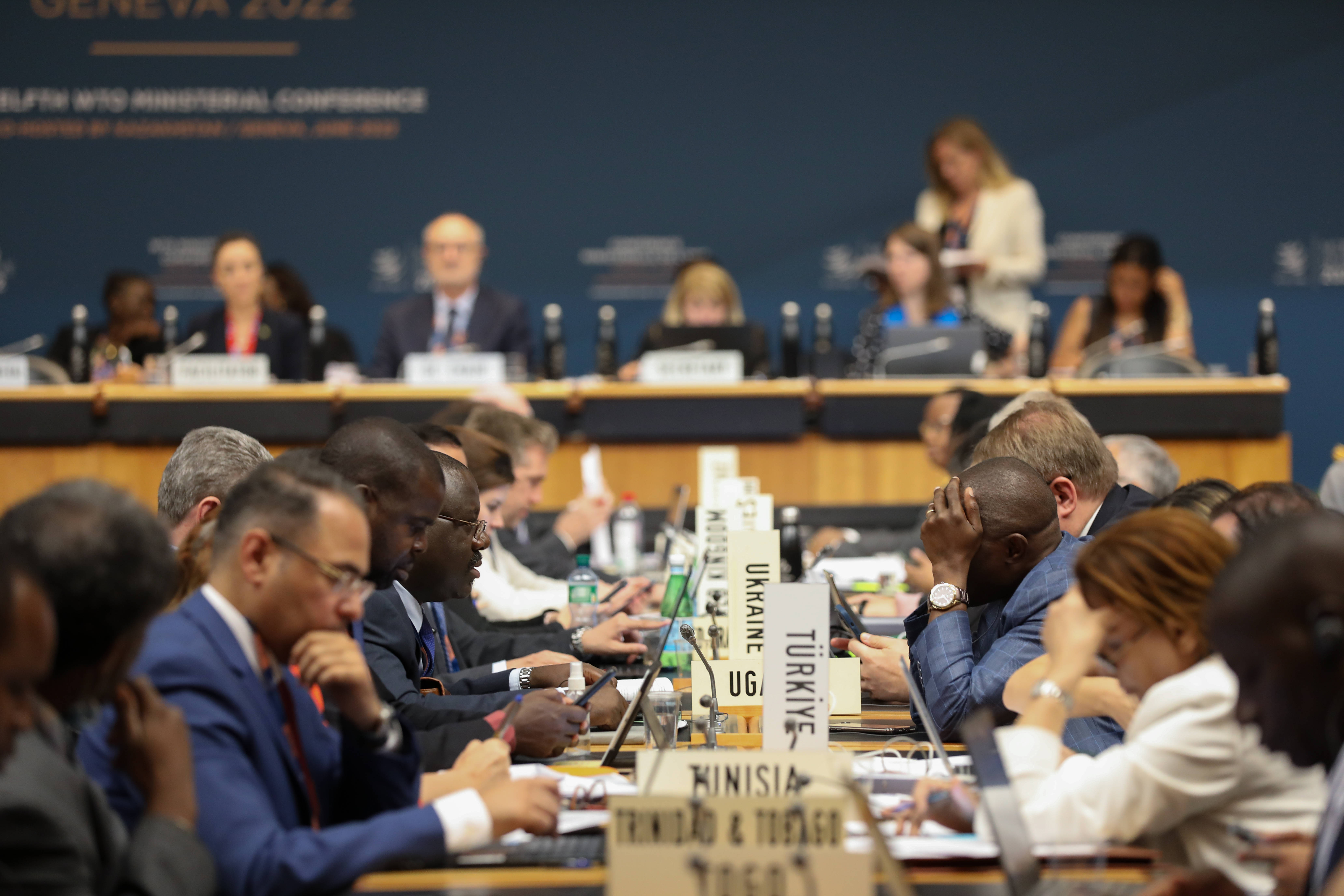 王文涛部长出席世贸组织第14届部长级会议专题讨论并发言