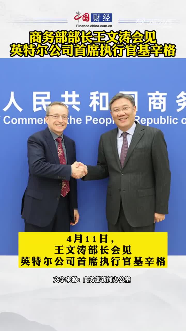 王文涛部长会见智利外交部国际经济关系副部长埃斯特韦斯